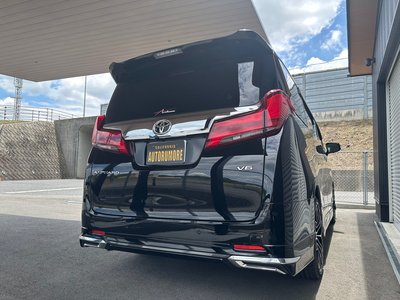 2018 Toyota ALPHARD 照片 11