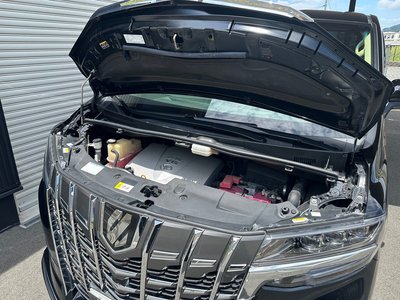 2018 Toyota ALPHARD 照片 16