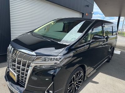 2018 Toyota ALPHARD 照片 9
