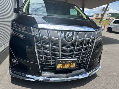 2018 Toyota ALPHARD 照片 8
