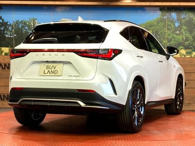 2023 Lexus NX — фото 17