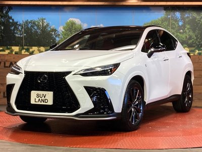 2023 Lexus NX — фото 26