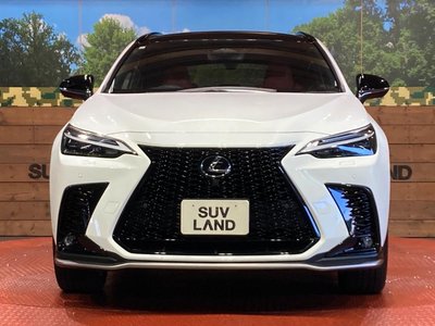 2023 Lexus NX — фото 14