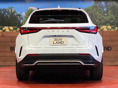2023 Lexus NX — фото 15