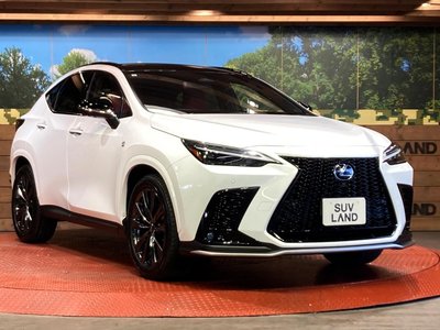 2023 Lexus NX — фото 16