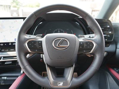 2024 Lexus RX thumbnail 20
