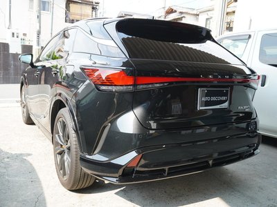 2024 Lexus RX photo 6