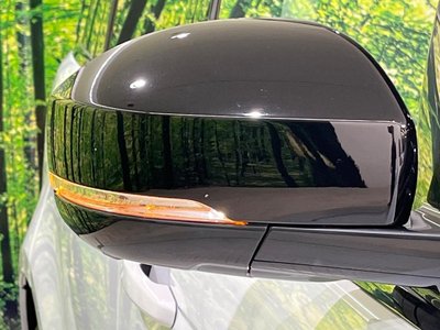 2018 LAND Rover RANGE ROVER SPORT thumbnail 30