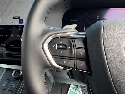 2025 Lexus GX 照片 12
