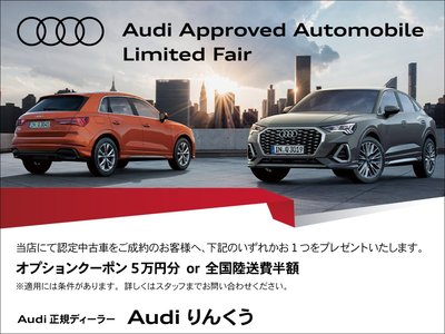 2024 AUDI Q7 — миниатюра 2