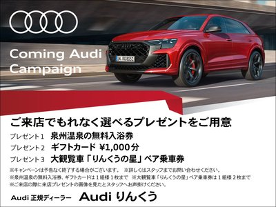 2024 AUDI Q7 — миниатюра 65