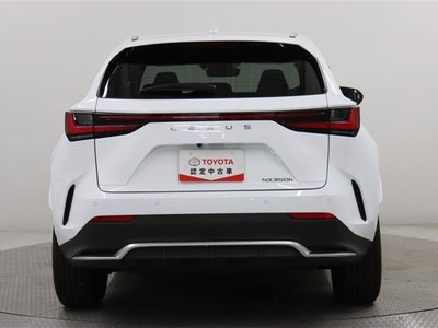 2024 Lexus NX photo 14