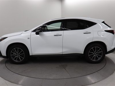 2024 Lexus NX photo 15