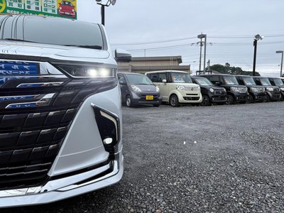 2024 Toyota ALPHARD — фото 28