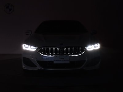 2023 BMW 8 SERIES GRAN COUPE photo 13
