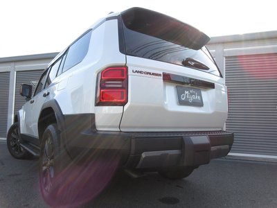 2025 Toyota LAND CRUISER 250 照片 23