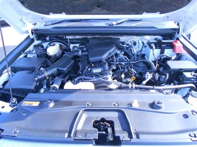 2025 Toyota LAND CRUISER 250 照片 34