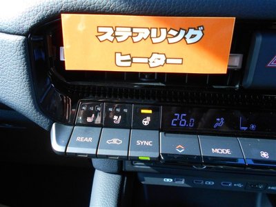 2025 Toyota LAND CRUISER 250 照片 25