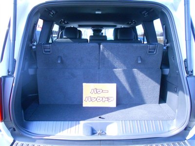 2025 Toyota LAND CRUISER 250 照片 15