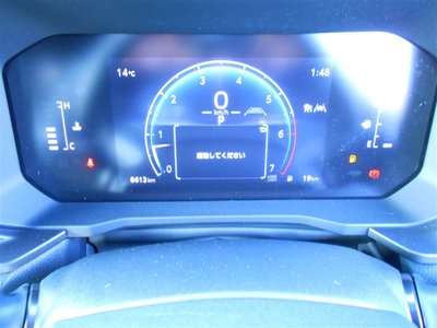 2025 Toyota LAND CRUISER 250 照片 30