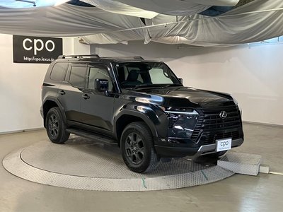 2025 Lexus GX 缩略图 13