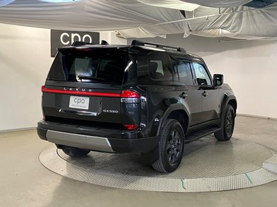 2025 Lexus GX 缩略图 9