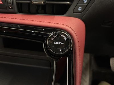 2023 Lexus NX photo 13