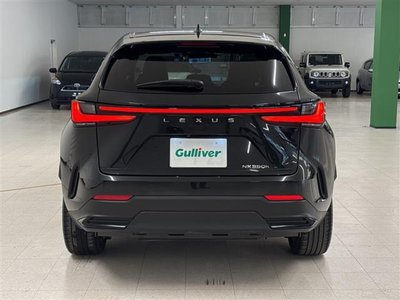 2023 Lexus NX thumbnail 20
