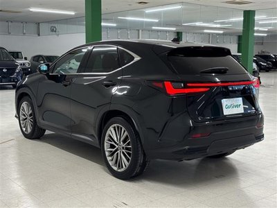 2023 Lexus NX thumbnail 45