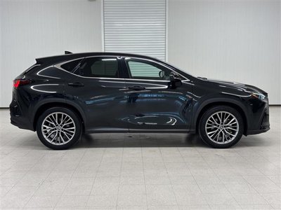 2023 Lexus NX thumbnail 21