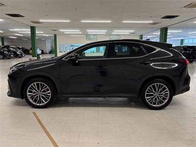 2023 Lexus NX thumbnail 22