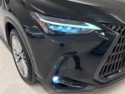 2023 Lexus NX thumbnail 23