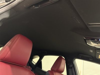 2023 Lexus NX thumbnail 31