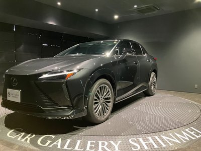 صورة 9 لـ 2025 Lexus RZ