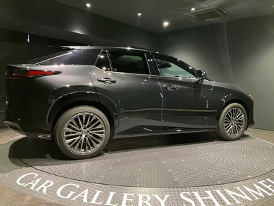 صورة 16 لـ 2025 Lexus RZ