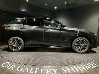 2025 Lexus RZ 缩略图 17