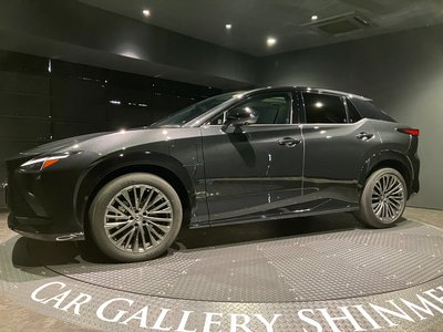 صورة 10 لـ 2025 Lexus RZ