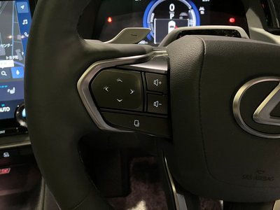 2025 Lexus RZ 缩略图 32