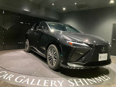 2025 Lexus RZ 缩略图 19