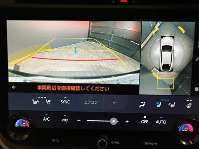 2025 Lexus RZ 缩略图 21