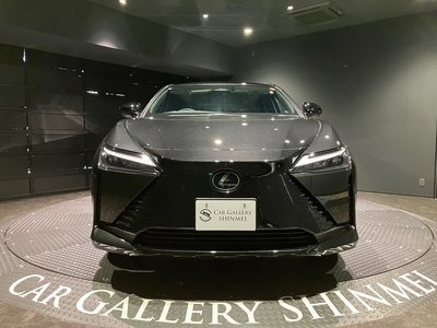 صورة 8 لـ 2025 Lexus RZ