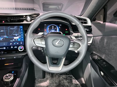 2025 Lexus RZ 缩略图 24