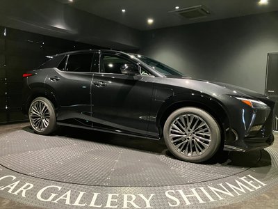 2025 Lexus RZ 缩略图 18