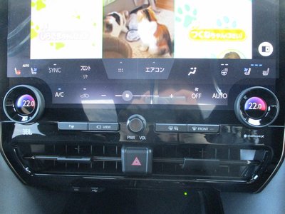 2026 Toyota ALPHARD 缩略图 20