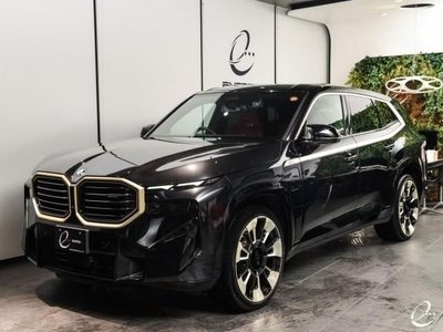 صورة مصغرة 6 لـ 2023 BMW XM