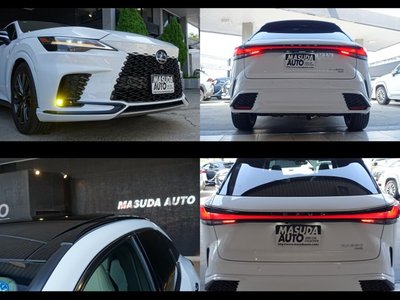 2025 Lexus RX photo 11