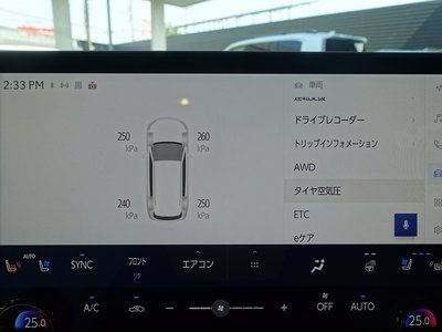 2025 Lexus RX thumbnail 50