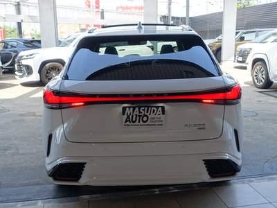 2025 Lexus RX thumbnail 20