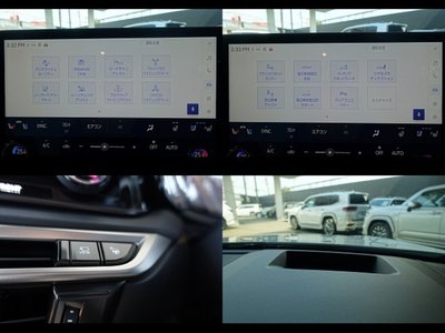 2025 Lexus RX photo 10