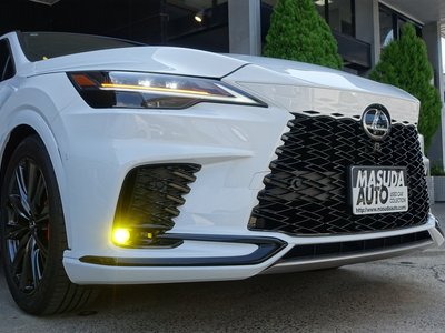 2025 Lexus RX thumbnail 29